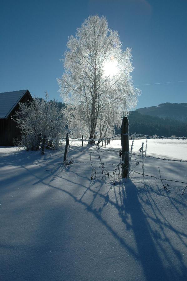 Gasthof Hirschenwirt Schöder Екстериор снимка